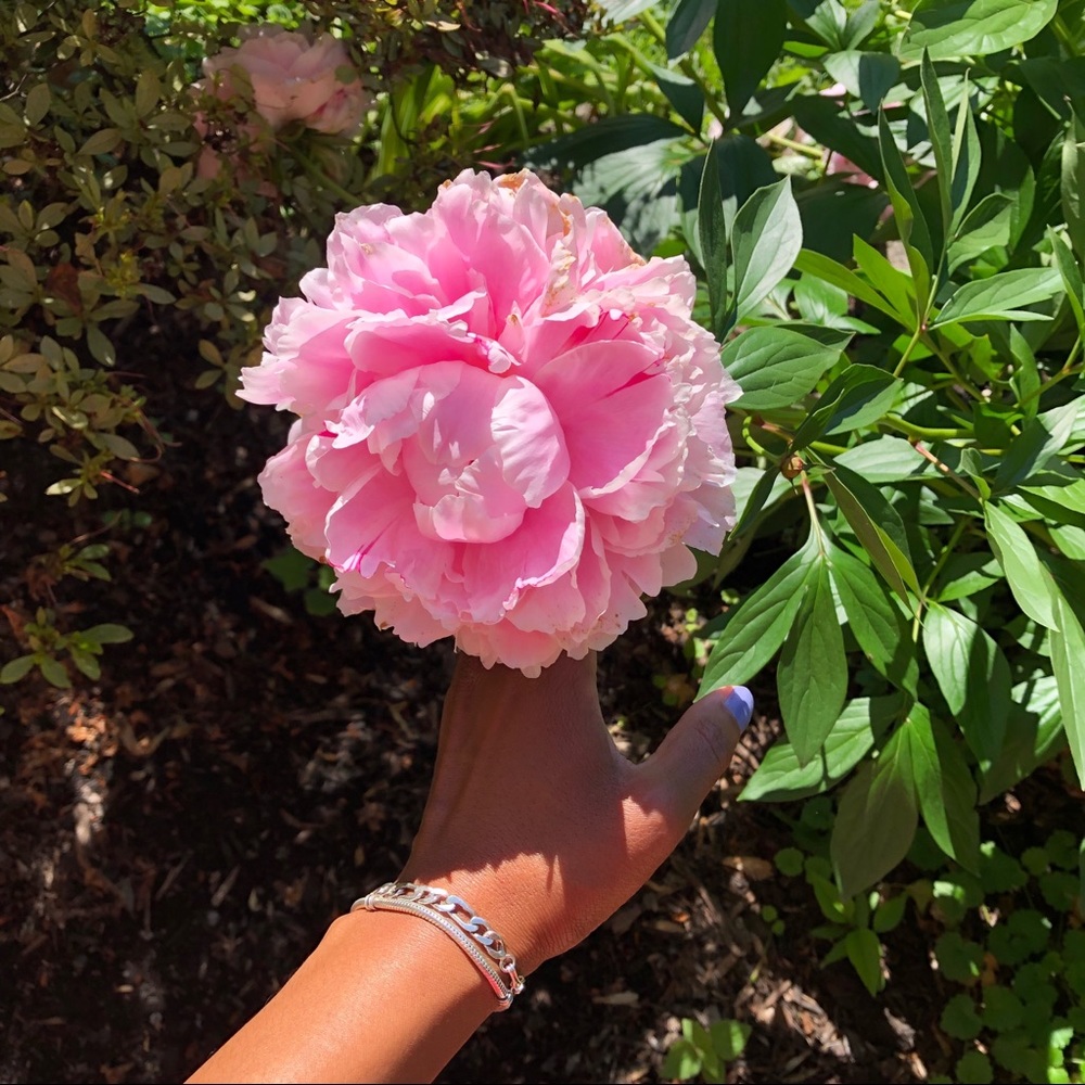 Meet your Posher, Cay